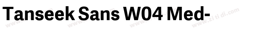 Tanseek Sans W04 Med字体转换